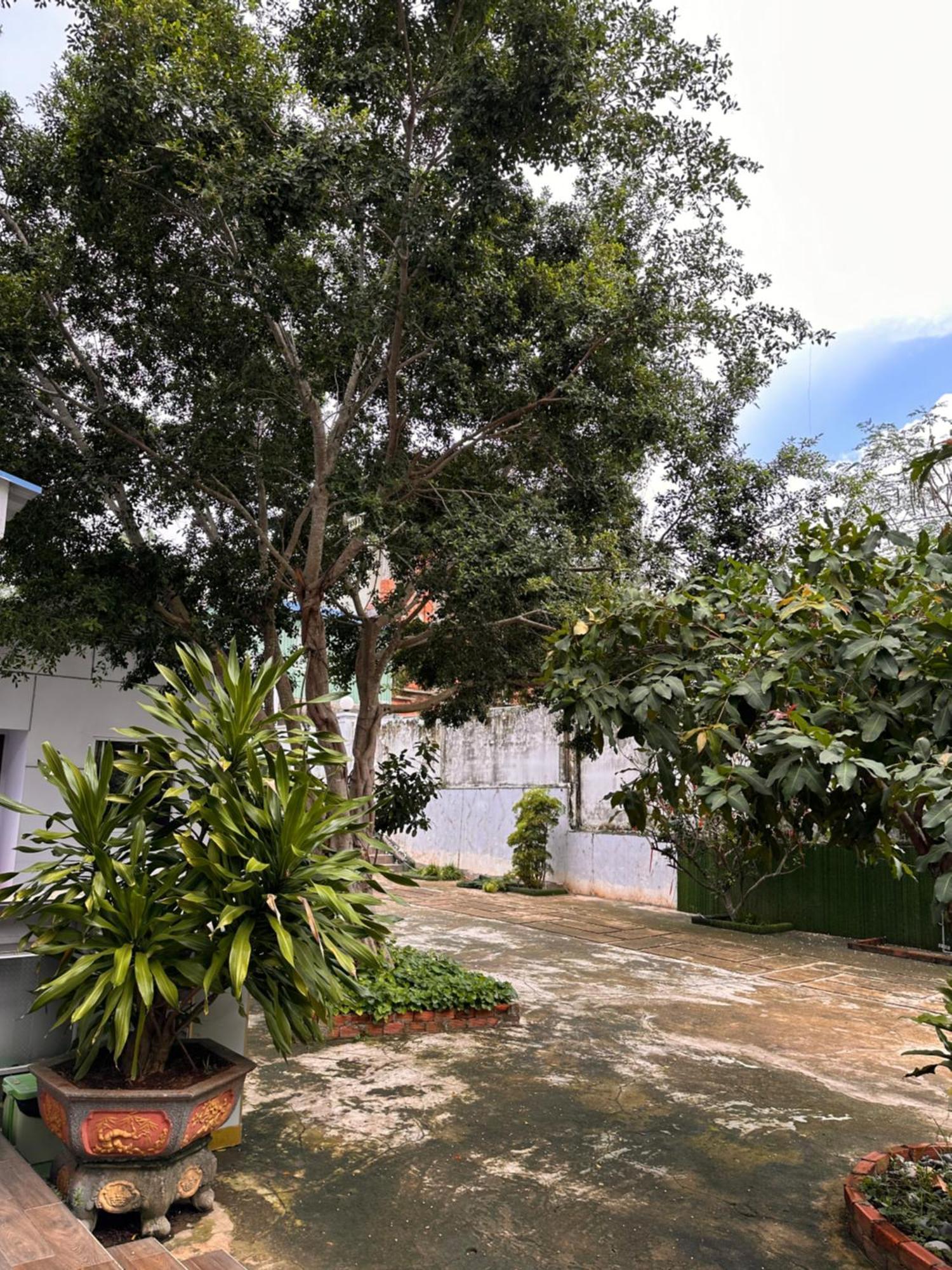Bungalow Hotel Chi Khu Co Ong Eksteriør billede